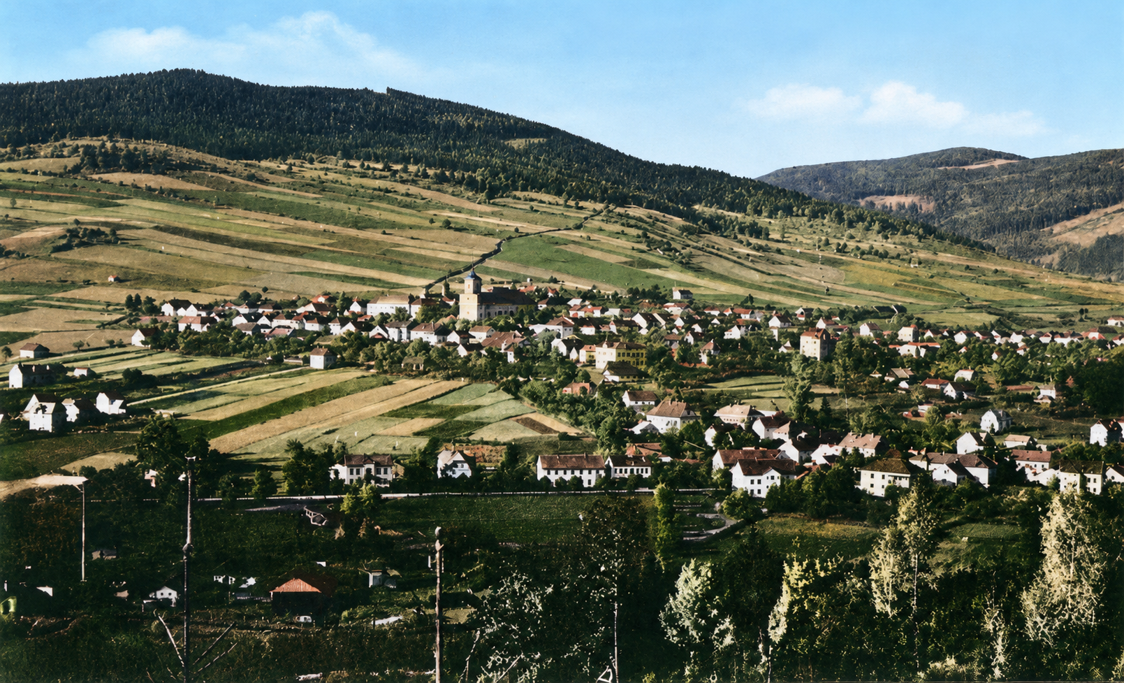 Fotografie týdne